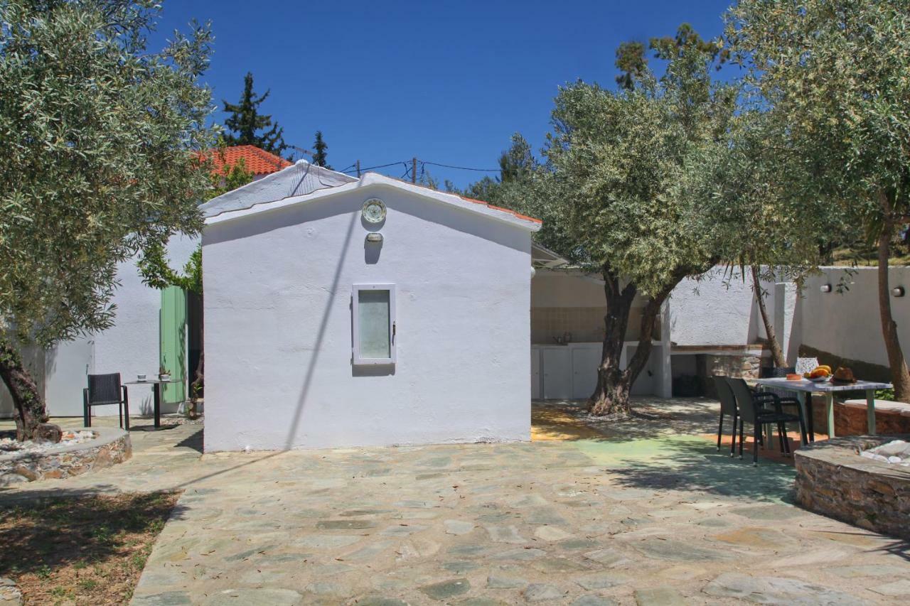 Liogerma